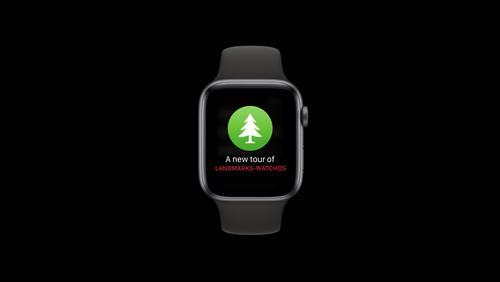 SwiftUI On All Devices